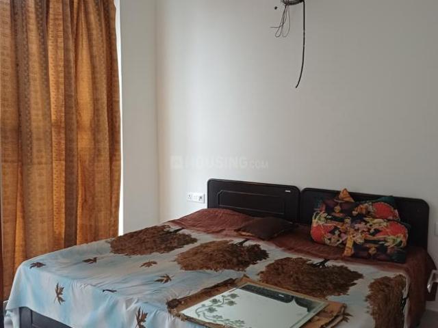 1.5 BHK Independent Builder Floor in Sector 56 for rent Noida. The reference number is 19553138