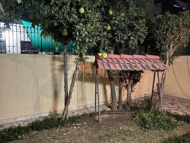 1.5 BHK Independent House in Sector 21B for rent Faridabad. The reference number is 20099906