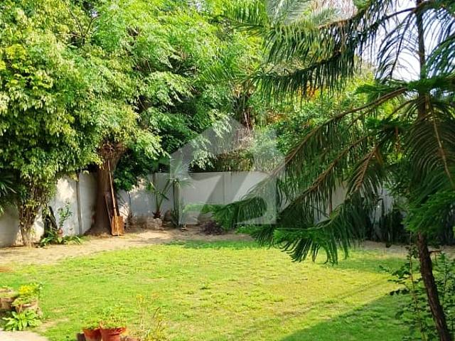 1.5 Kanal House Available for Rent in Main Cantt Spacious, Elegant & Ideal for Families