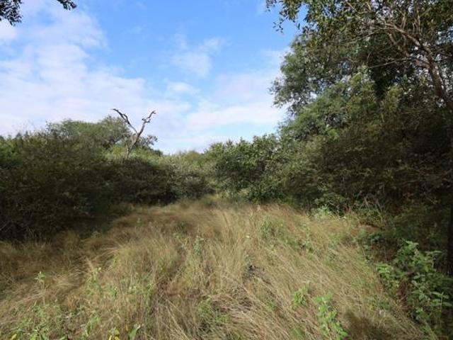 1.5 ha Land available in Hoedspruit
