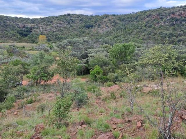 1.5 ha Land available in Modimolle Nylstroom