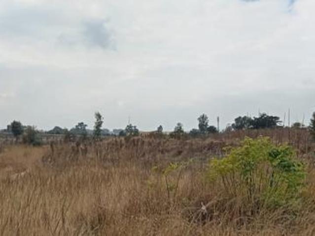 1.5 ha Land available in Meyerton Park