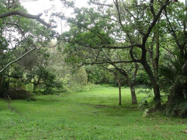1.5 ha Land available in Shelly Beach