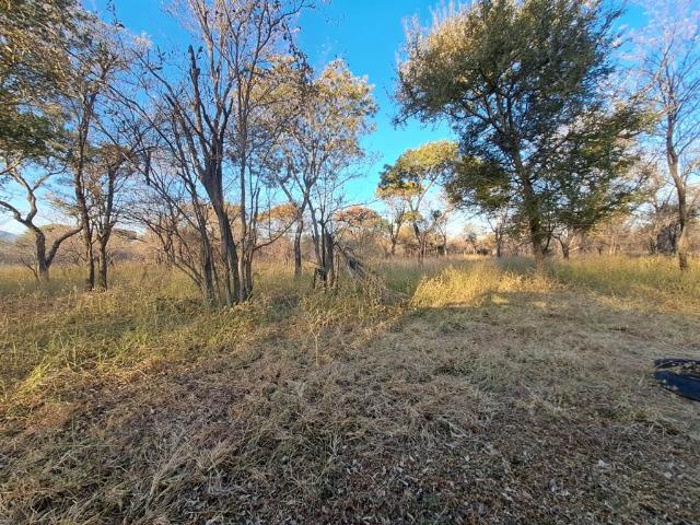 1.5 ha Land available in Thabazimbi