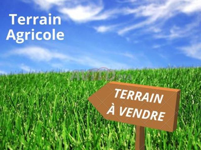1.5 hectare a vendre