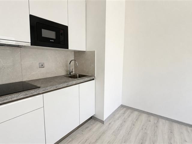 1.5 modern renovierte Zimmer in Lugano