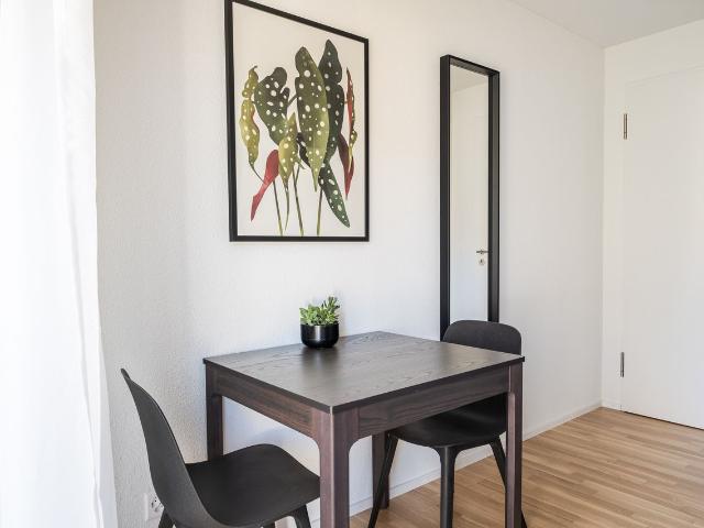 1.5 room flat modern studio in the centre of Basel, Basel Amsterdam Apartments for Rent