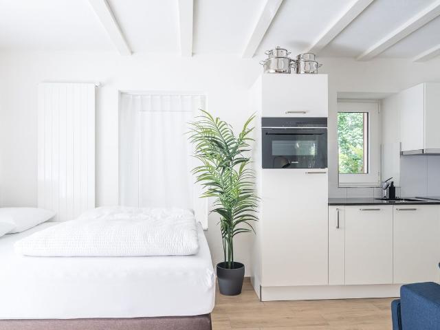 1.5 room furnished apartment with private terrace – 2 minutes from the main station, Zurich Amsterdam Apartments for Rent