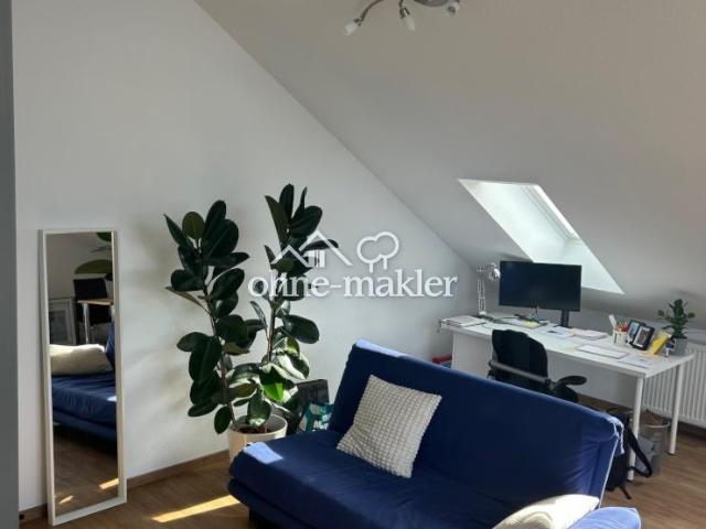 1,5 Zimmer Apartment ruhig gelegen direkt am Landschaftspark Schönbusch in Aschaffenburg Nilkheim