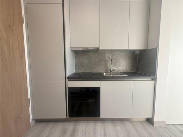 BIS ZU 3 MONATE KOSTENLOS – 1,5 Zimmer renoviert in Coldrerio