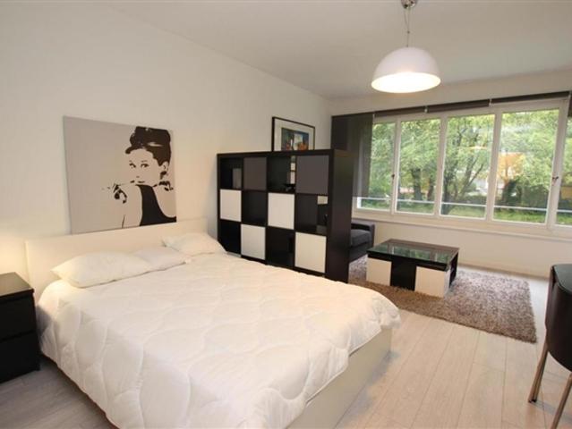 1,5 Zimmer Wohnung