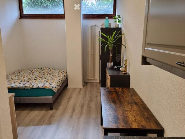 1.5 Zimmer, 19 m²