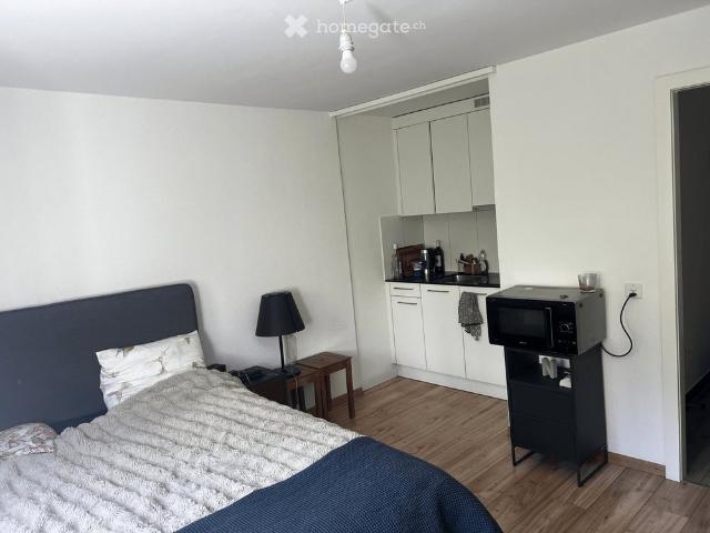 1.5 Zimmer, 19 m²