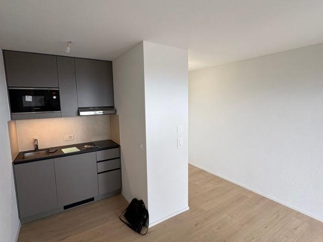 1.5 Zimmer, 24 m², 3. Stock