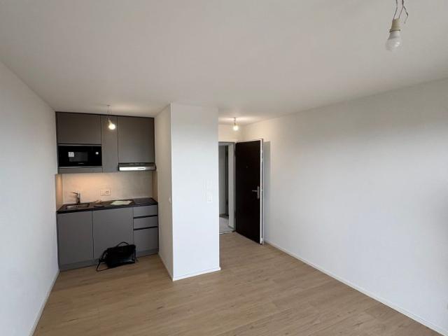 1.5 Zimmer, 24 m², 4. Stock