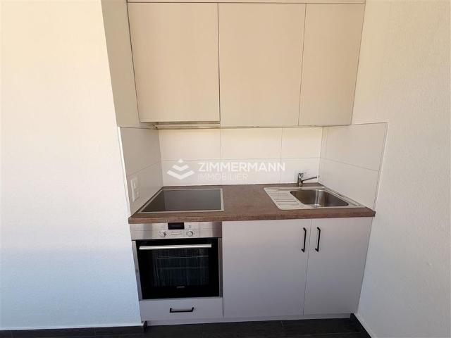 1.5 Zimmer, 28 m², 5. Stock