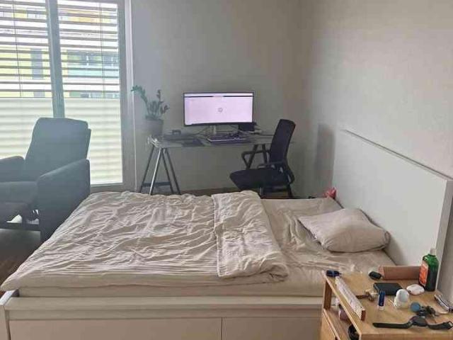 1.5 Zimmer, 29 m²