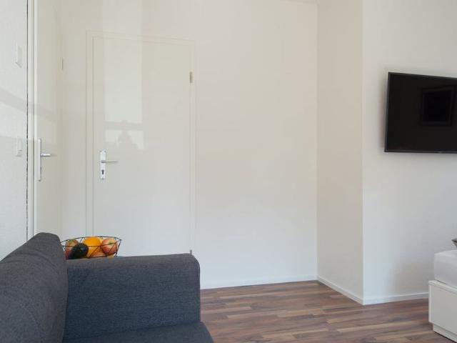 1.5 Zimmer, 29 m²