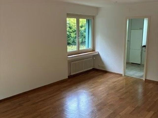 1.5 Zimmer, 29 m², EG