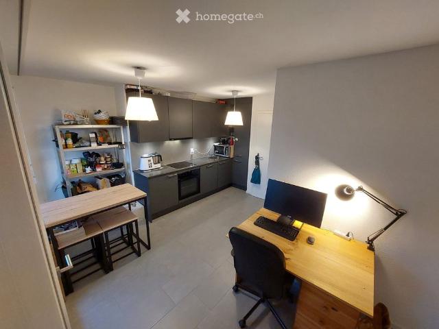 1.5 Zimmer, 20 m²