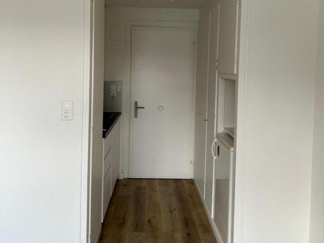 1.5 Zimmer, 22 m²