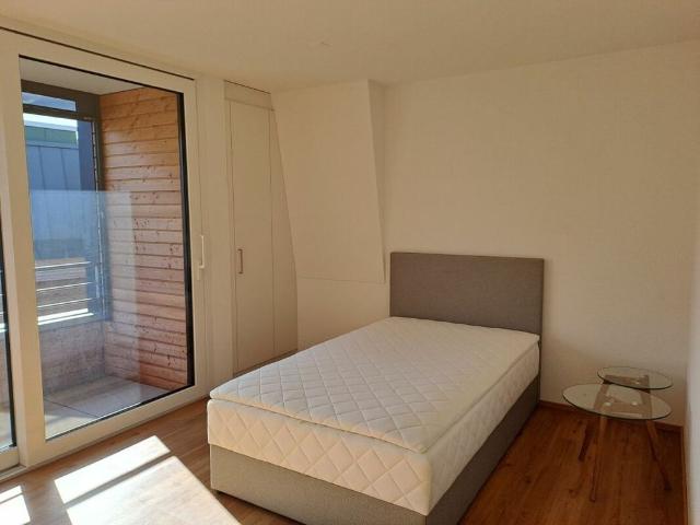 1.5 Zimmer, 22 m²