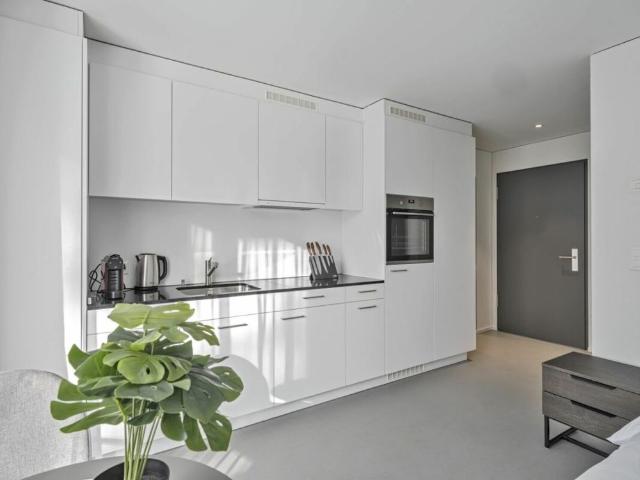 1.5 Zimmer, 23 m²