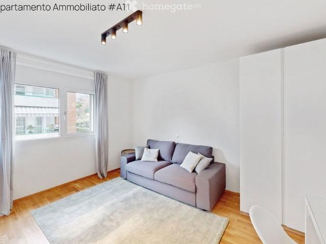 1.5 Zimmer, 23 m²