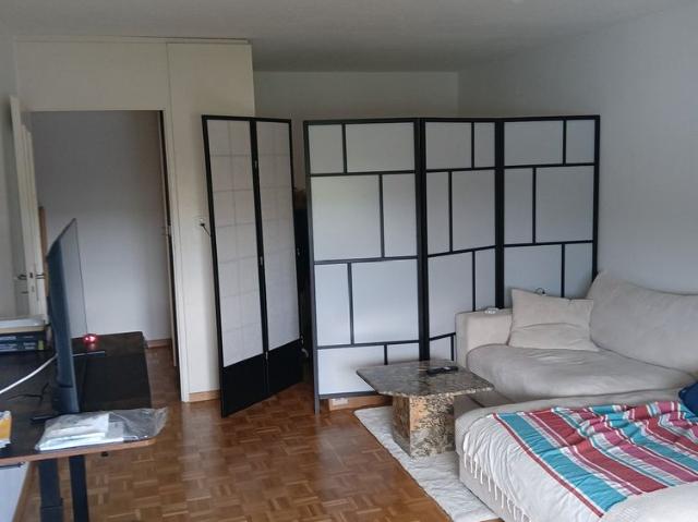 1.5 Zimmer, 37 m²