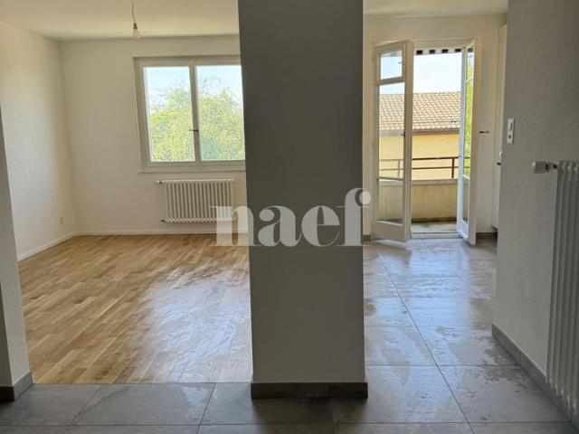1.5 Zimmer, 38 m², 1. Stock