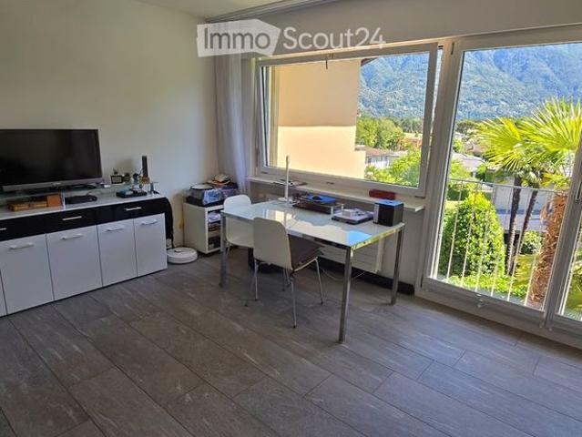1.5 Zimmer, 38 m²