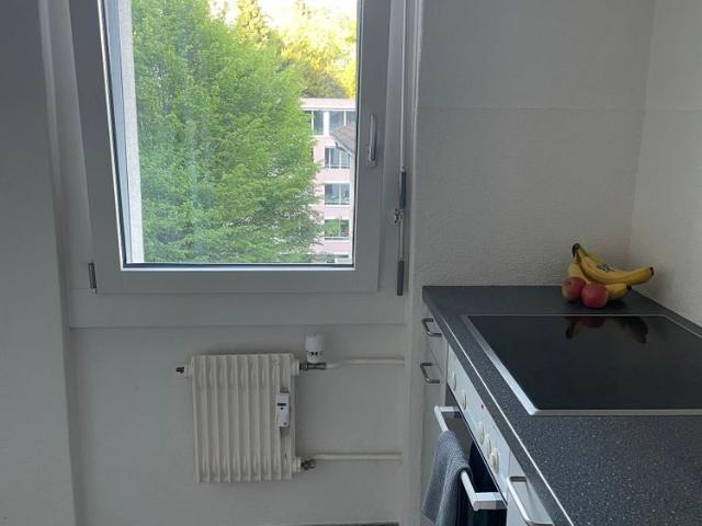 1.5 Zimmer, 38 m², 4. Stock