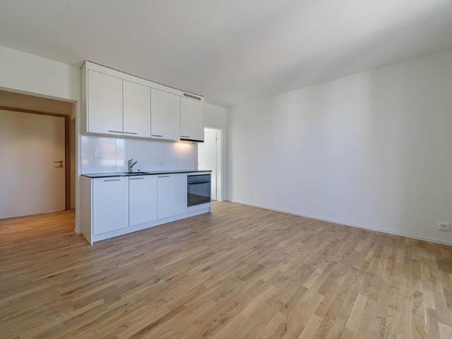 1.5 Zimmer, 30 m², 1. Stock