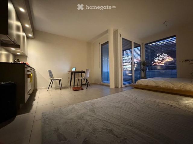 1.5 Zimmer, 30 m²
