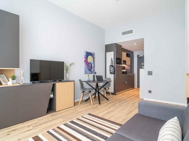 1.5 Zimmer, 30 m²