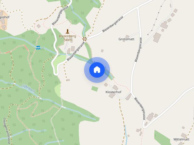 1.5 Zimmer, 30 m²