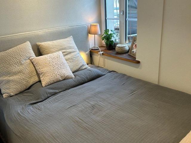 1.5 Zimmer, 30 m²