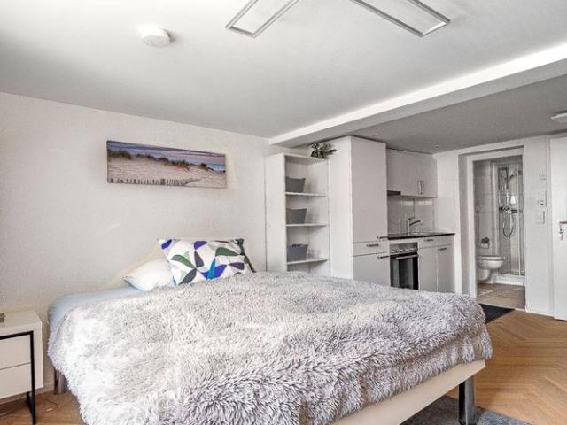 1.5 Zimmer, 30 m²