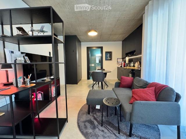 1.5 Zimmer, 30 m²