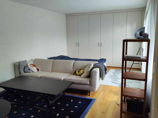 1.5 Zimmer, 30 m², EG