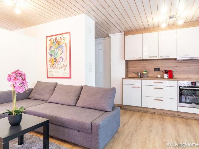 1.5 Zimmer, 30 m², EG