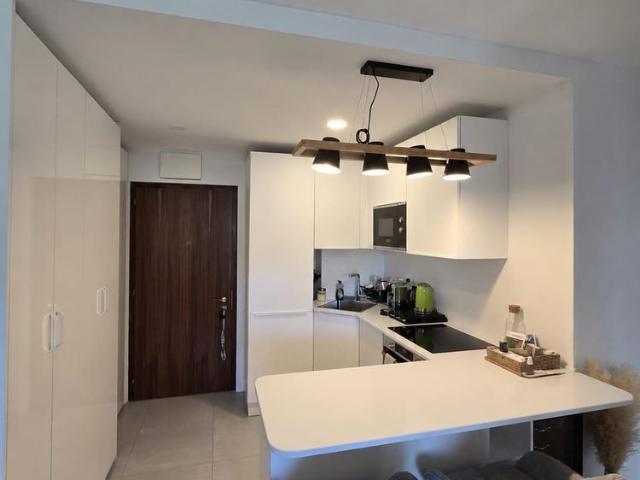 1.5 Zimmer, 31 m²