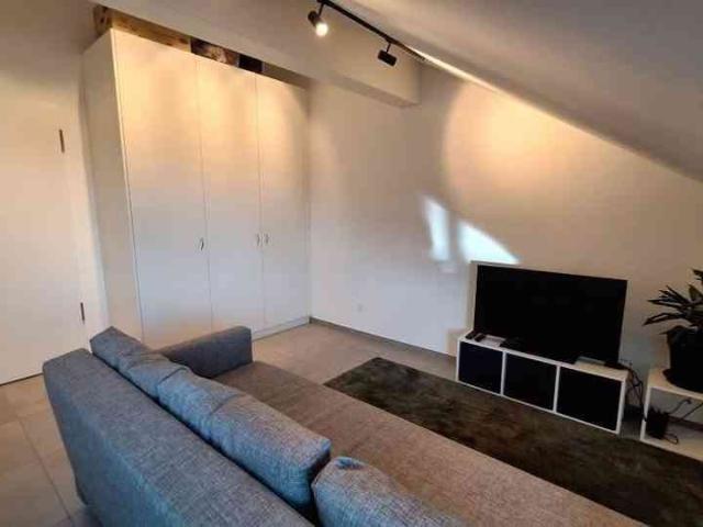 1.5 Zimmer, 31 m²