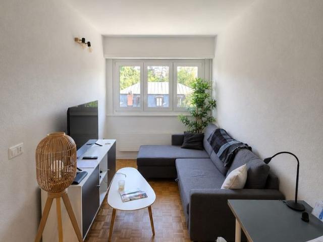 1.5 Zimmer, 31 m²