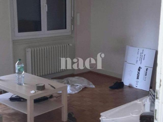 1.5 Zimmer, 31 m², EG