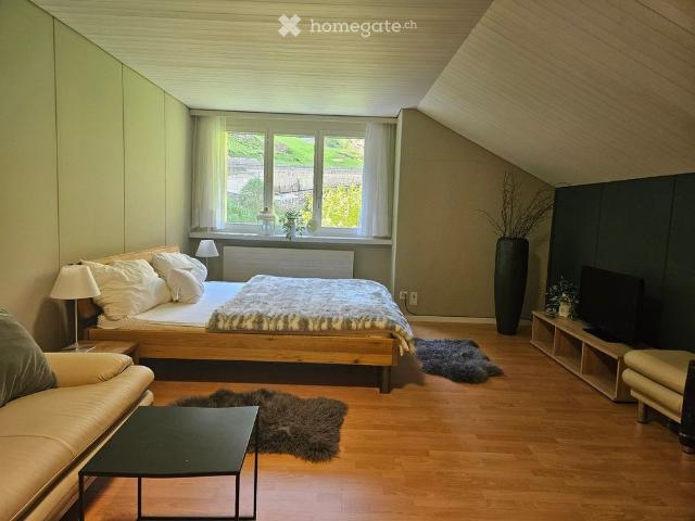 1.5 Zimmer, 44 m²