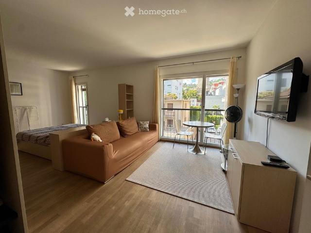 1.5 Zimmer, 45 m²
