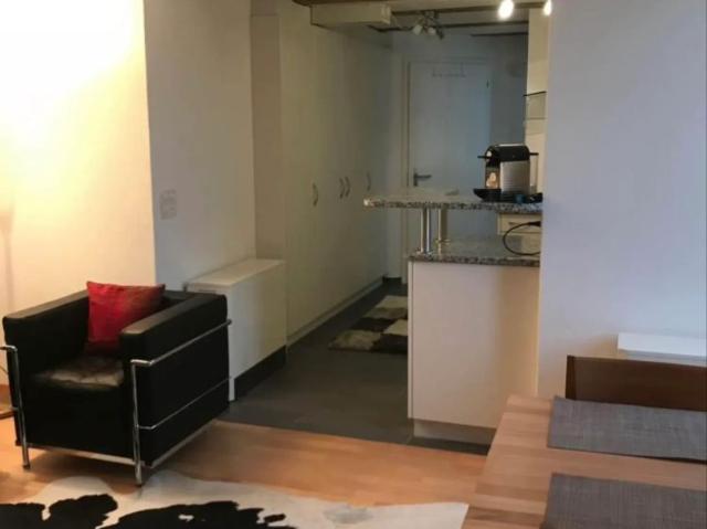 1.5 Zimmer, 47 m²