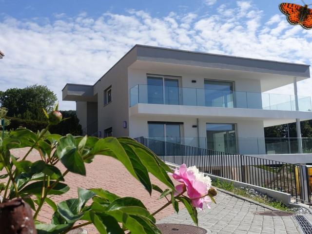 1.5 Zimmer, 47 m², EG