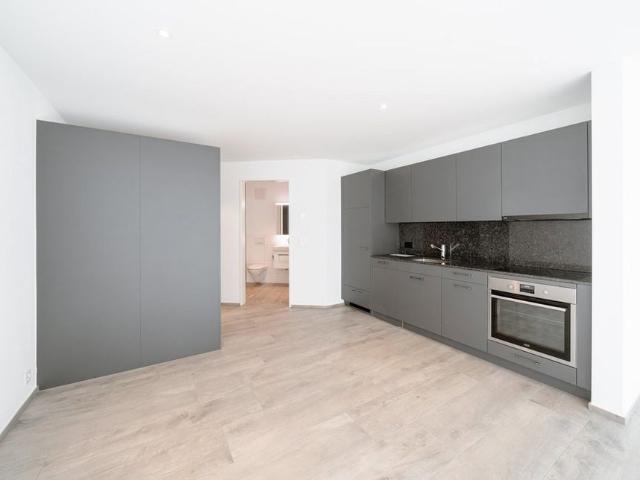 1.5 Zimmer, 47 m², EG